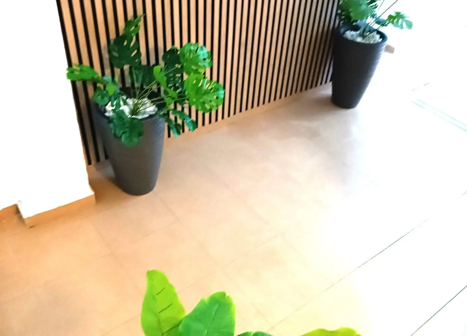 Apartamentos Terrazas De San Juan Málaga España