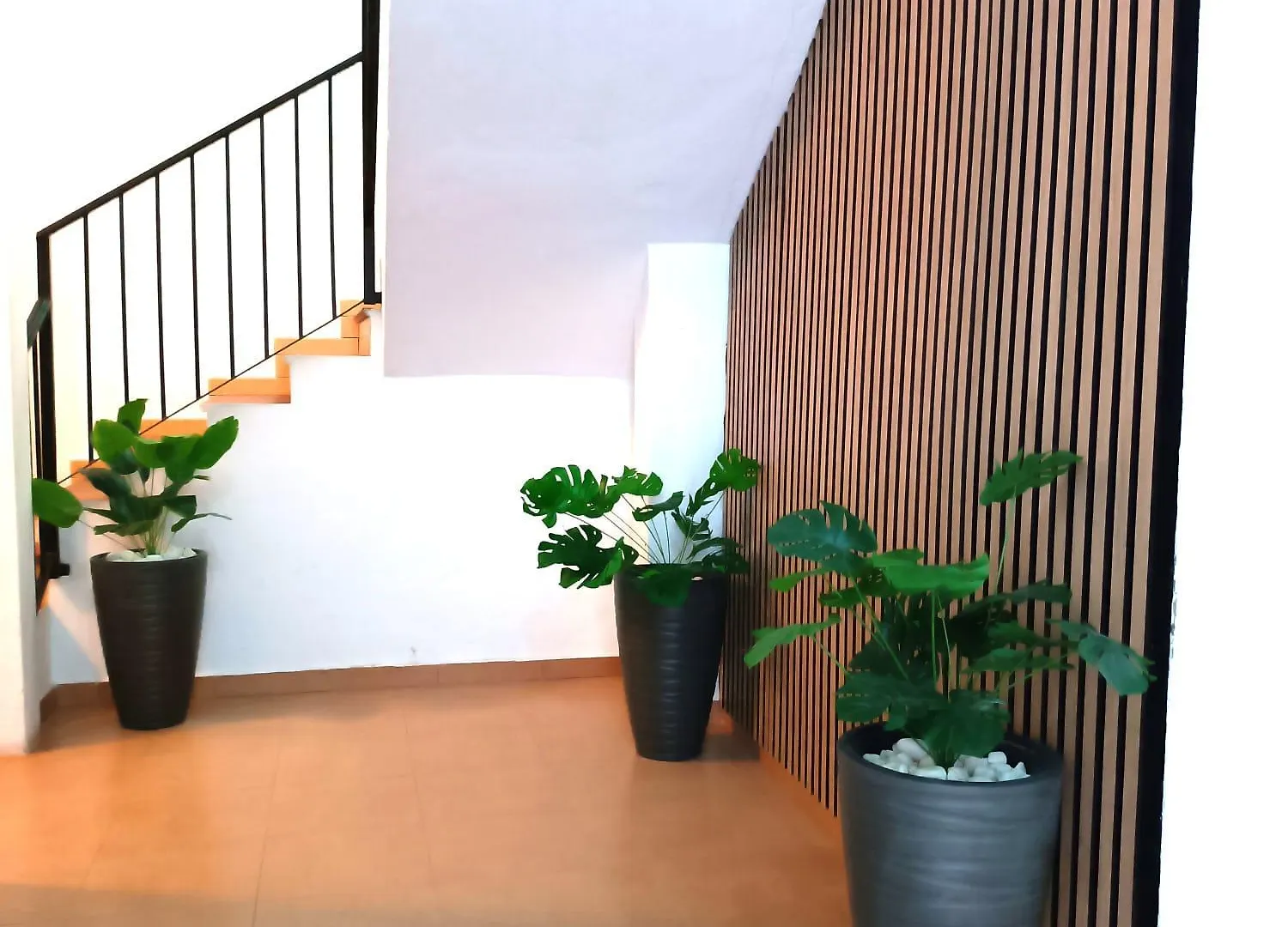 Apartamentos Terrazas De San Juan Málaga